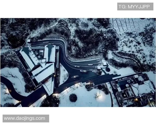 南京飞盘队的快攻革新之路探秘与战术解析